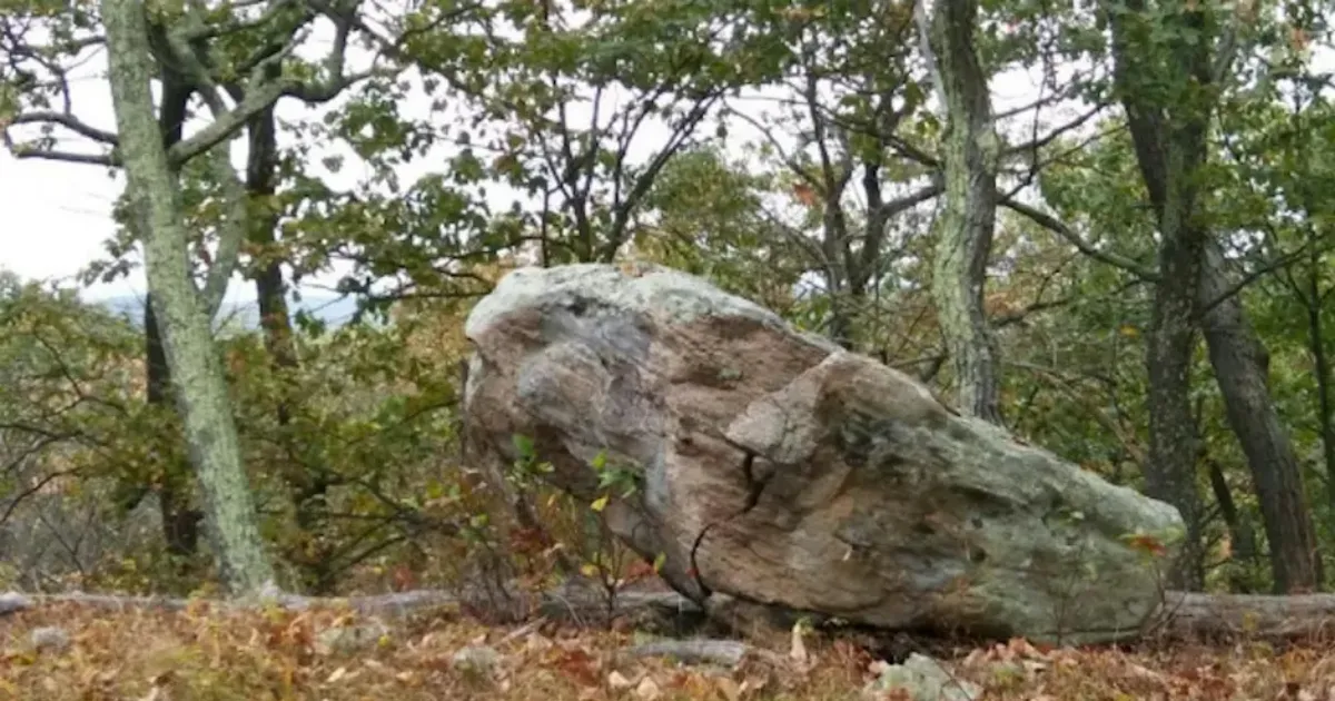 Large weathered boulder surrounded by trees along a wooded trail in the Lower Hudson Valley.