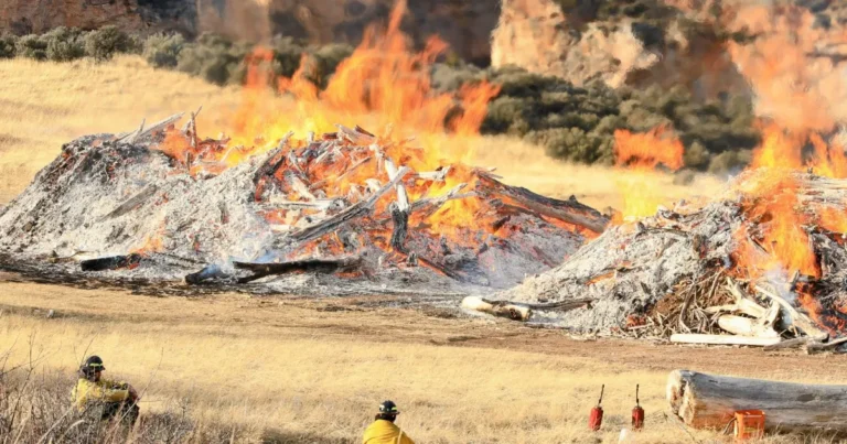 Cultural burning is more than fuel reduction